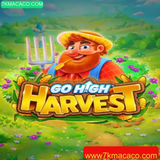 GoHighHarvest: Explorando o Novo Jogo de Estratégia e Aventura